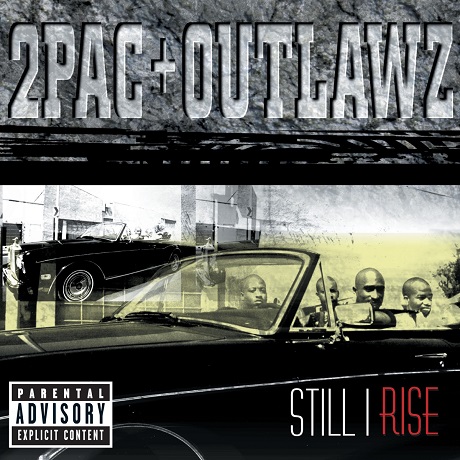 STILL II RISE