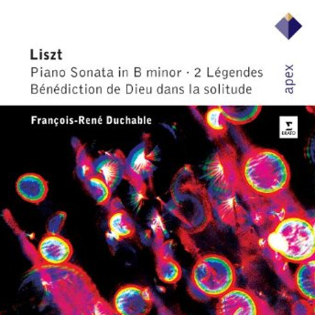 PIANO SONATA IN B MINOR/ FRANCOIS-RENE DUCHABLE