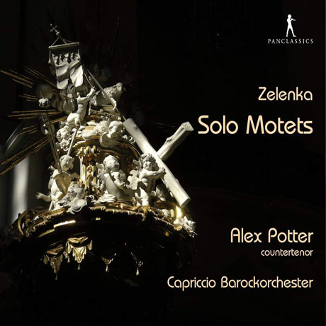 SOLO MOTETS/ ALEX POTTER, DOMINIK KIEFER