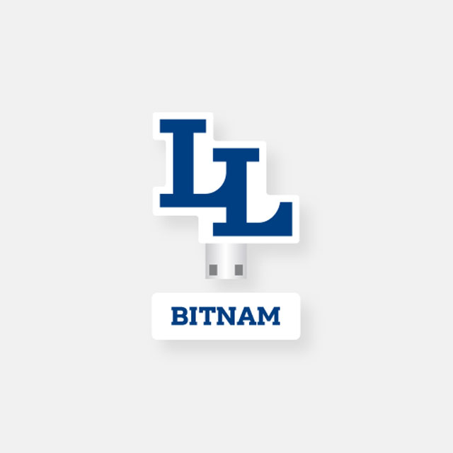 [BITNAM UNIVERSITY] USB