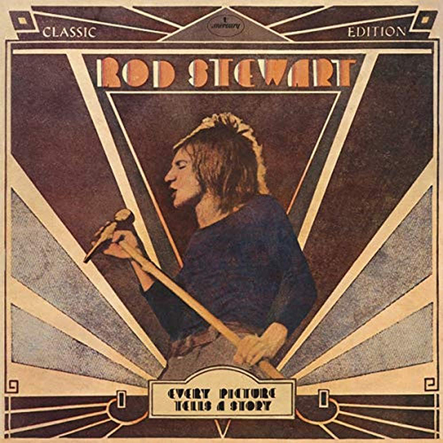 EVERY PICTURE TELLS A STOR [LP]