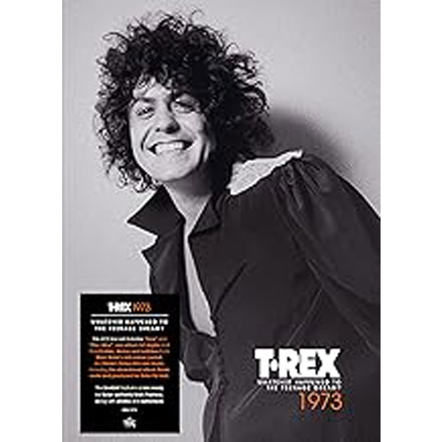 1973: WHATEVER HAPPENED TO THE TEENAGE DREAM?