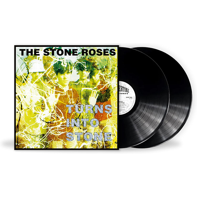 TURNS INTO STONE [LP]