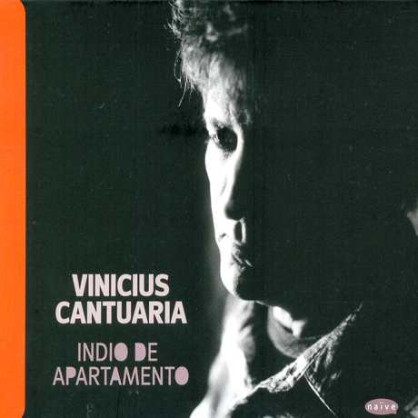 INDIO DE APARTAMENTO