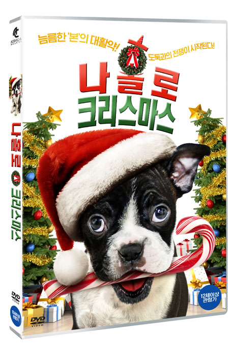 나홀로 크리스마스 [ALONE FOR CHRISTMAS]