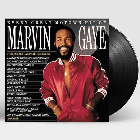 EVERY GREAT MOTOWN HIT [LP]