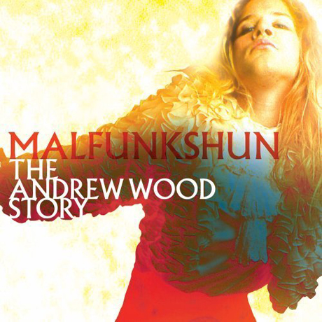 THE ANDREW WOOD STORY [2CD+DVD]