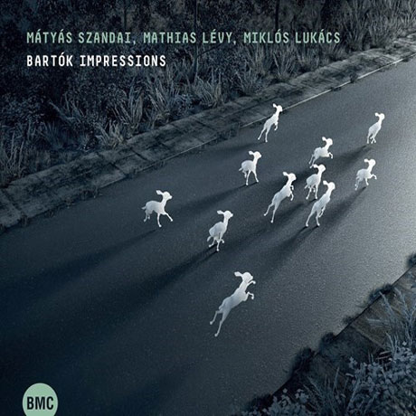 IMPRESSION/ MATYAS SZANDAI, MATHIAS LEVY, MIKLOS LUKACS [바르톡: 헝가리 스타일의 프리 재즈]