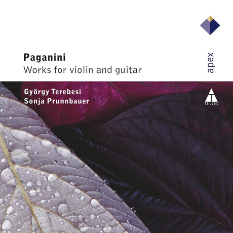 WORKS FOR VIOLIN AND GUITAR/ GYORGY TEREBESI, SONJA PRUNNBAUER [파가니니: 바이올린과 기타를 위한 음악]