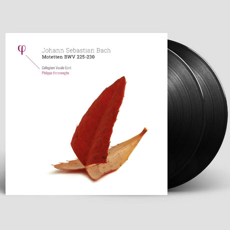 MOTETTEN BWV 225-230/ PHILIPPE HERREWEGHE [바흐: 모테트 - 콜레기움 보칼레 겐트 & 헤레베헤] [LP]
