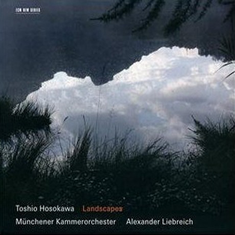 LANDSCAPE/ ALEXANDER LIEBREICH