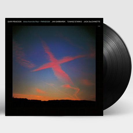 VOICE FROM THE PAST - PARADIGM [DOWNLOAD CODE] [180G LP]
