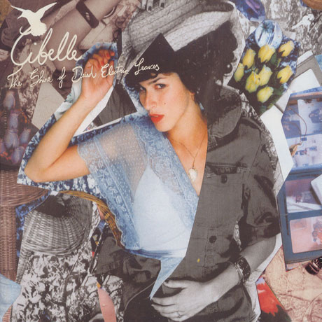 THE SHINE OF DRIED ELECTRIC LEAVES