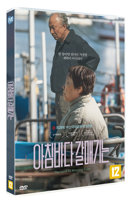 아침바다 갈매기는