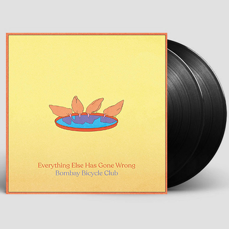 EVERYTHING ELSE HAS GONE WRONG [DELUXE] [LP]
