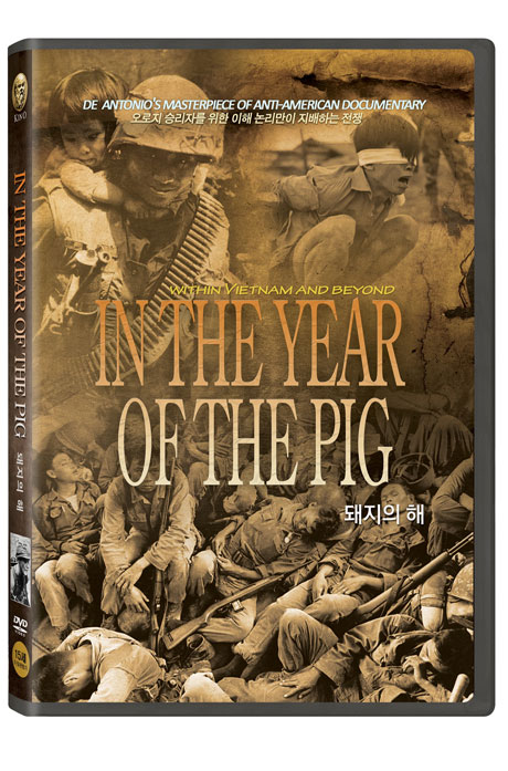 돼지의 해 [IN THE YEAR OF THE PIG]