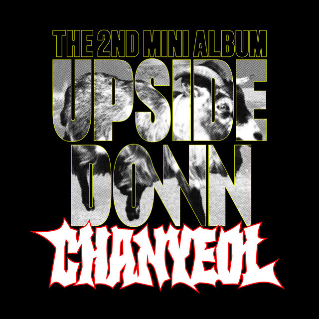 UPSIDE DOWN [미니 2집] [PHOTO BOOK VER]