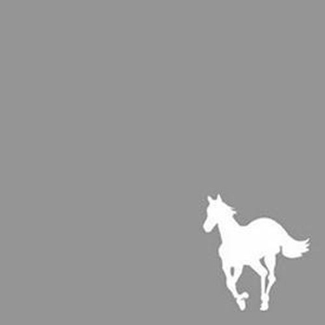 WHITE PONY