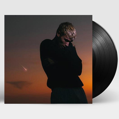 LOVE IS NOT DYING [LP]