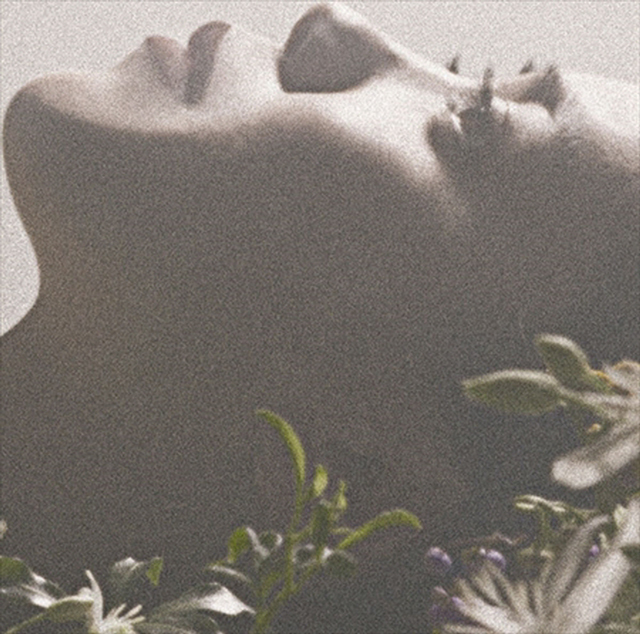 語り係ぐこと [전해져 내려오는 것] [일본 레코드 데이 2023] [LP]