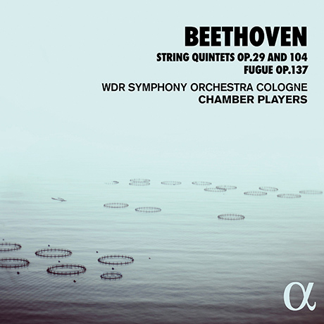 STRING QUINTETS OP.29 & 104, FUGUE OP.137/ WDR SINFONY ORCHESTERA COLOGNE CHAMBER PLAYERS [베토벤: 현악 5중주, 푸가 - 쾰른 서독일 라디오 심포니 오케스트라 체임버 플레이어스]
