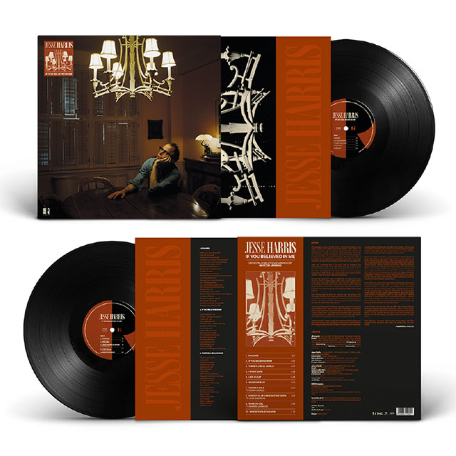 IF YOU BELIEVED IN ME [LP]