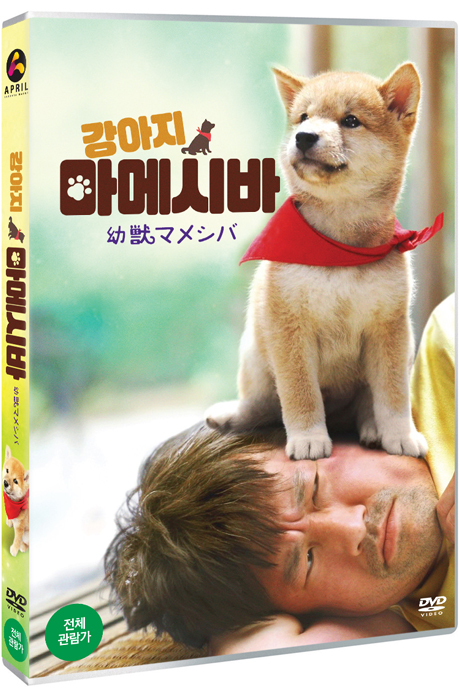 강아지 마메시바 [幼獸マメシバ]