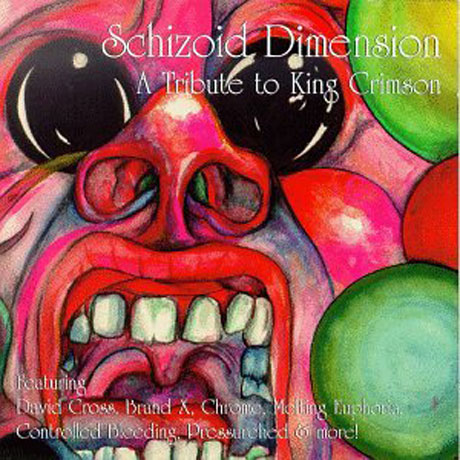 SCHIZOID DIMENSION: A TRIBUTE TO KING CRIMSON