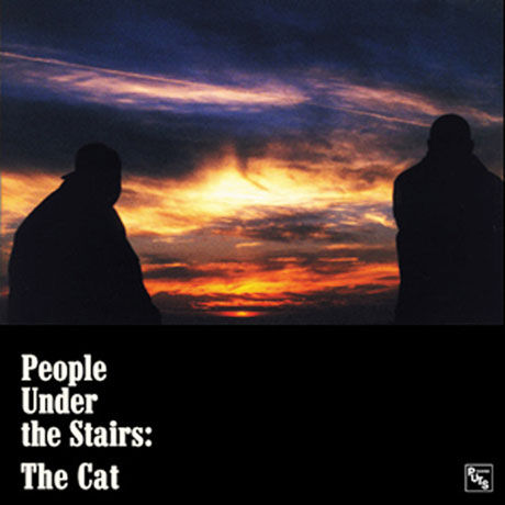 THE CAT