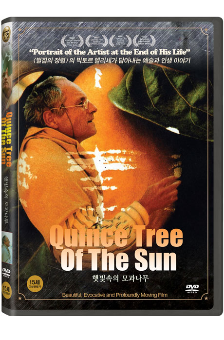 햇빛 속의 모과나무 [QUINCE TREE OF THE SUN]