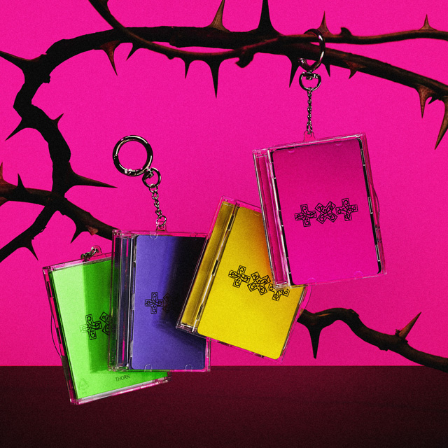 7TH YEAR: 가시덤불에 잠시 바람이 멈췄을 때 [PHOTOCARD CASE VER] [4종 세트]