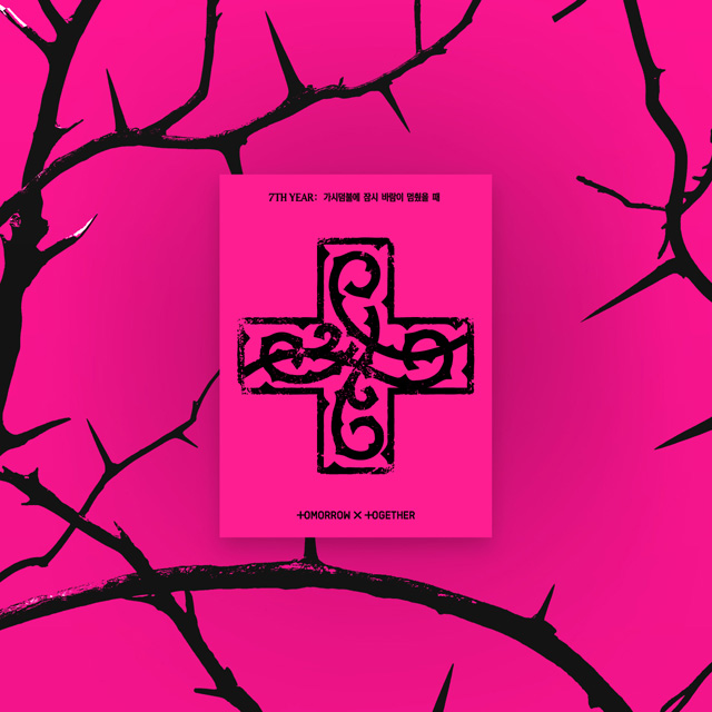 7TH YEAR: 가시덤불에 잠시 바람이 멈췄을 때 [PPULBATU VER] [5종 세트]