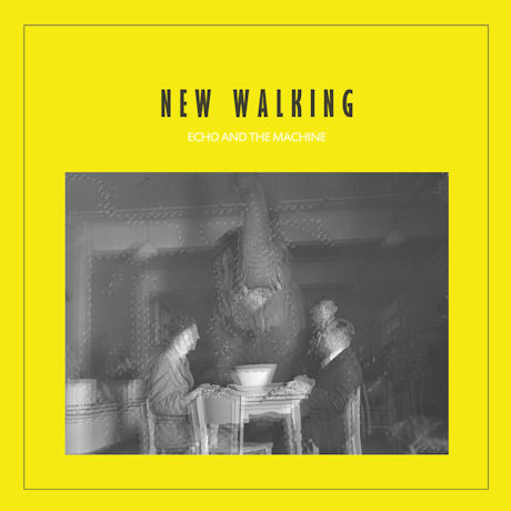 NEW WALKING