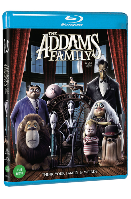 아담스 패밀리 [THE ADDAMS FAMILY]
