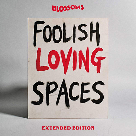 FOOLISH LOVING SPACES [EXTENDED]