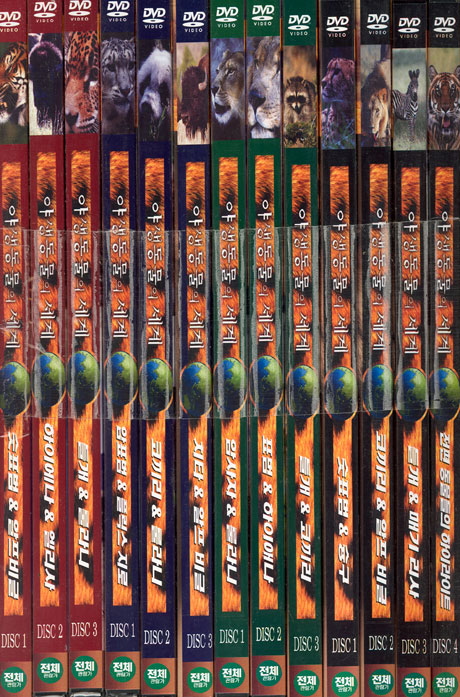 야생동물의 세계 전편세트 [13DISC]