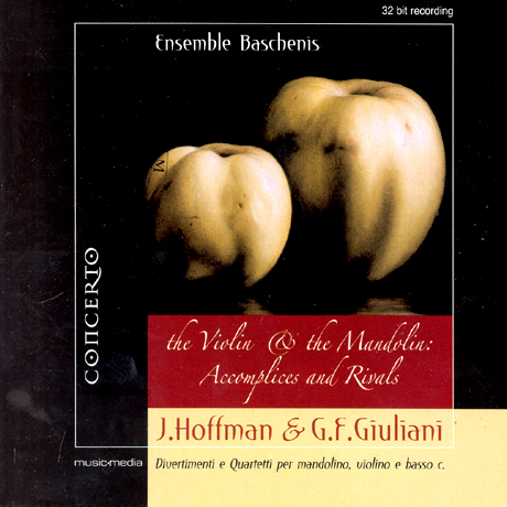 DIVERTIMENTI AND QUARTETTO PER MANDOLINO/ ENSEMBLE BASCHENIS