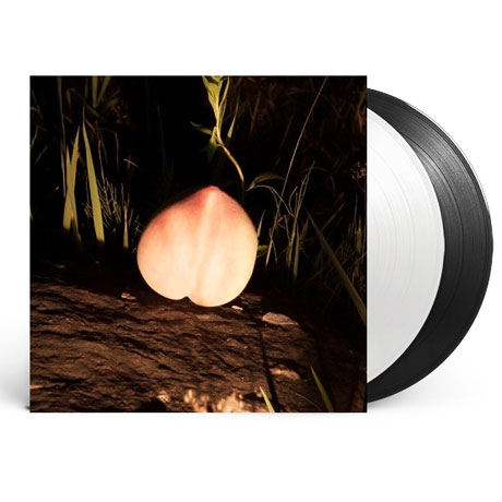 INTO THE NIGHT [140G 화이트&블랙 LP] [한정반]