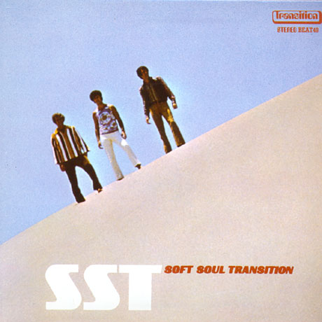 SOFT SOUL TRANSITION [LP MINIATURE]
