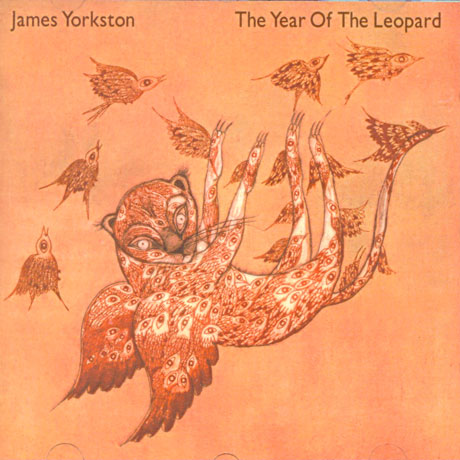 THE YEAR OF THE LEOPARD