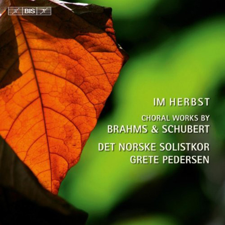 IM HERBST: CHORAL WORKS BY BRAHMS & SCHUBERT/ GRETE PEDERSEN [SACD HYBRID]