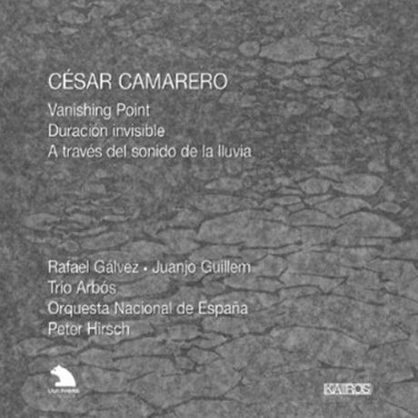 VANISHING POINT/ PETER HIRSCH