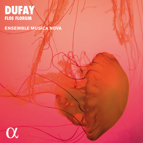 FLOS FLORUM/ ENSEMBLE MUSICA NOVA [ALPHA COLLECTION 50] [뒤파이: 꽃중의 꽃 - 성모 마리아를 위한 찬가 | 앙상블 무지카 노바]