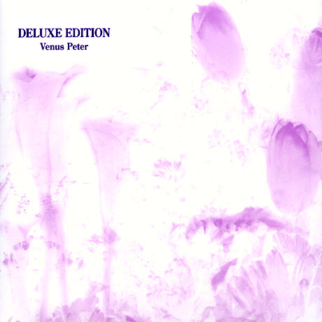 DELUXE EDITION (THE BEST OF V.P)