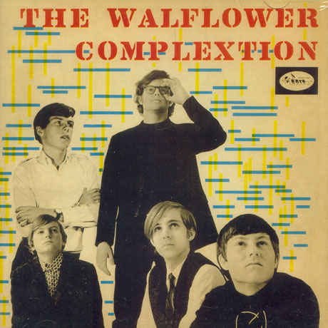 THE WALFLOWER COMPLEXTION