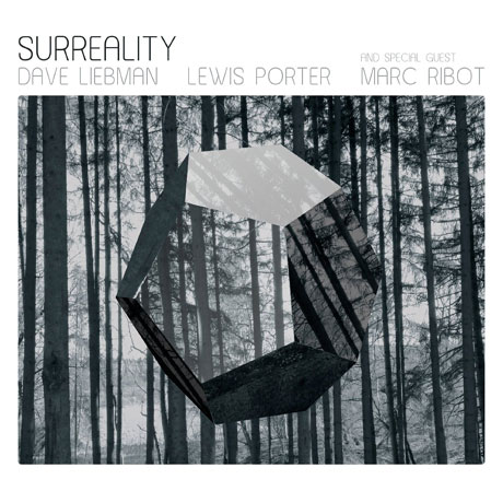 SURREALITY: LEWIS PORTER WITH SPECIAL GUEST MARC RIBOT