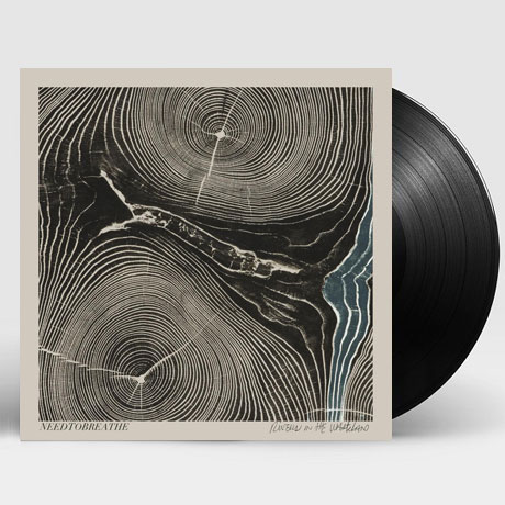 RIVERS IN THE WASTELAND [LP]