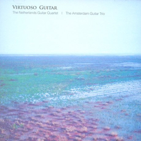 VIRTUOSO GUITAR