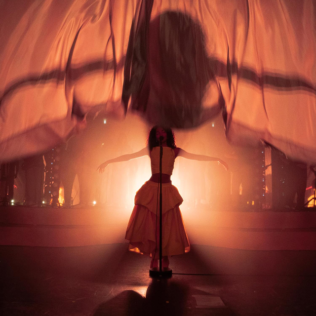 LIVE AT EVENTIM APOLLO [LP]