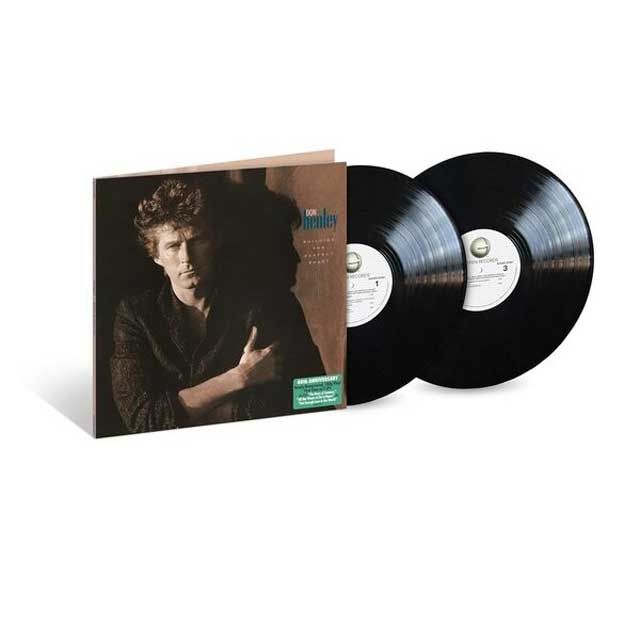 BUILDING THE PERFECT BEAST [40TH ANNIVERSARY] [REMASTERED] [180G LP]